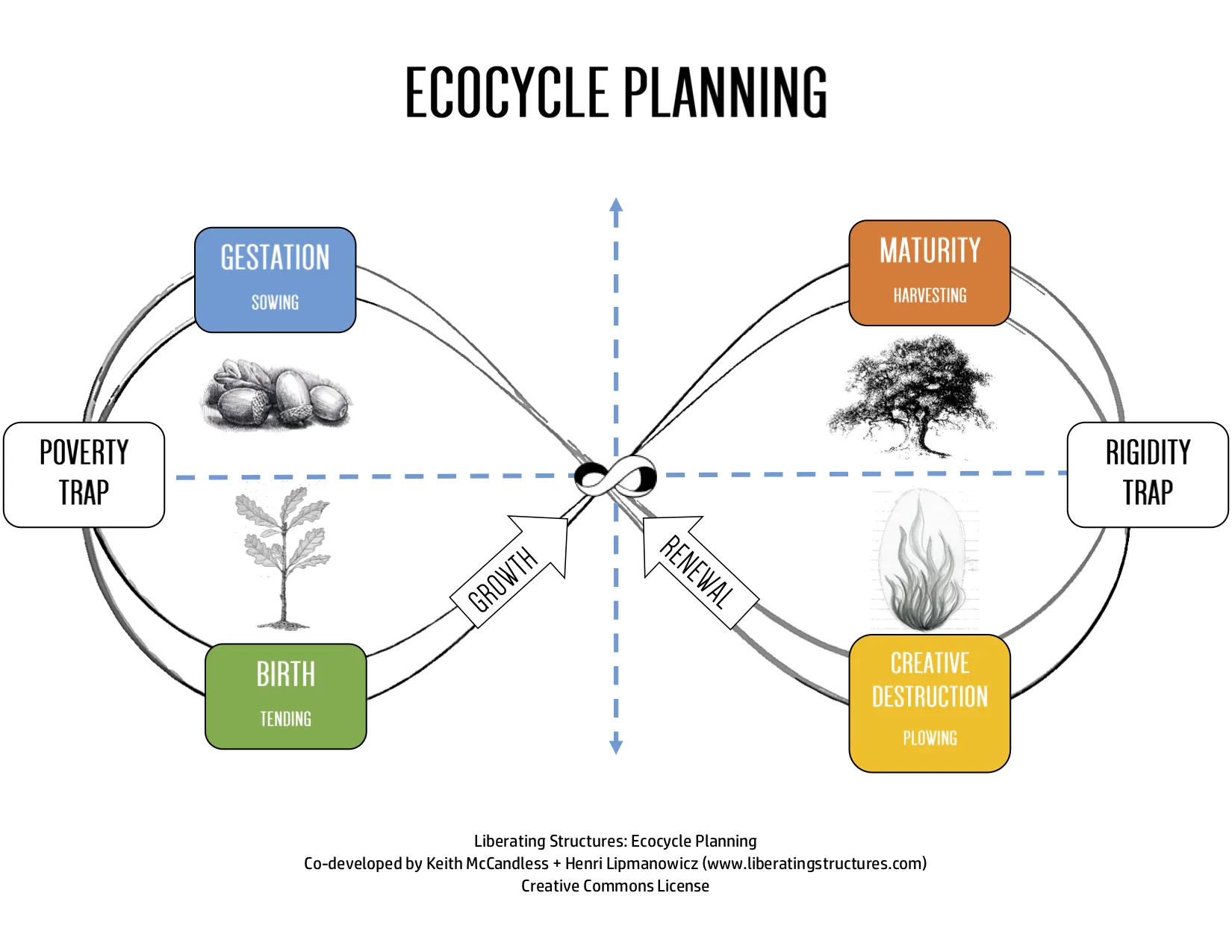 The Ecocycle model: a figure-eight loop showing Birth, Maturity, Creative Destruction and Renewal, with the Poverty Trap and Rigidity Trap marked as bottlenecks.